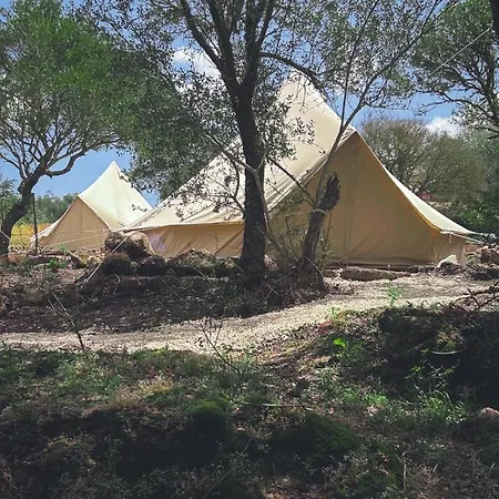 Pasare Glamping_anglonaruralexperience Perfugas